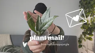 Plant Mail! | Unboxing A Hoya & Some Surprises from Heffalumppsjungle 🌱