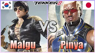 Tekken 8  ▰  Malgu (Law) Vs Pinya (Raven) ▰ Ranked Matches!