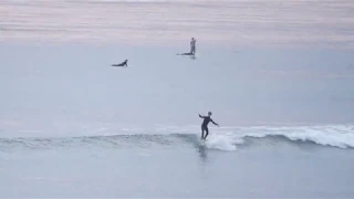 UCSB Devereux Longboard Surf 2/28/20