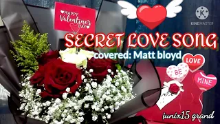 Secret Love Song by: Matt Bloyd