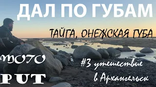 Тайга и Онега - МОТОПУТешествие в Архангельск #3