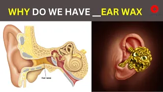 How Does Ear wax Works ? Function of Cerumen in Ears