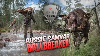 The Aussie Sambar BALLBREAKER! Chasing Stags on Bow in the Snowy Mountains