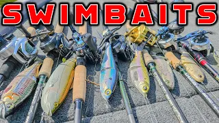 Swimbait Fishing – Full Seminar For Beginners and Advanced Anglers!