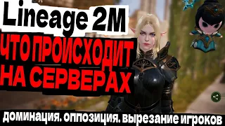 Lineage 2M ЧТО ПРОИСХОДИТ НА СЕРВЕРАХ И КАК ИГРАТЬ ПОЛНОЦЕННО В ЭТУ ИГРУ