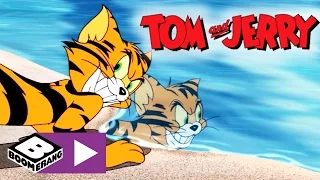 Tom & Jerry | Tiger Jakt | Boomerang Sverige