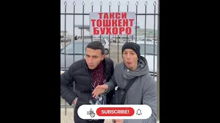 Xoliqjon Vines - taksislar haqida💣