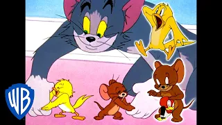 Tom & Jerry | Bird Attack! | Classic Cartoon Compilation | WB Kids