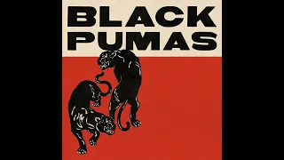 Black Pumas - Fast Car (HD)