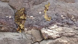 هل يتواجد الذهب في الصخور الرسوبية؟ | Is gold found in sedimentary rocks?  |