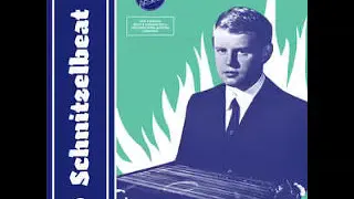 VA ‎– Schnitzelbeat Vol 2 : Raw Teenage Beat Surf & Garage Rock Pop From 60's Austria Music