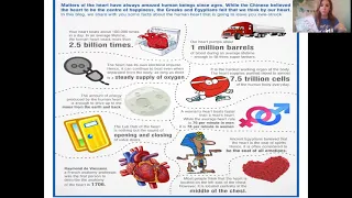 Cardiovascular - Heart part 1