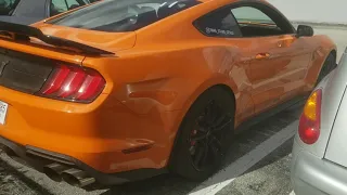 2020 Shelby GT500 Cat Delete Amazing Sound / Exhaust Modes