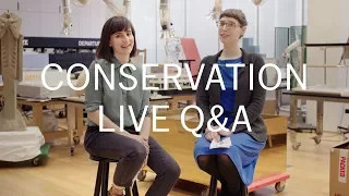 LIVE Q&A with MoMA Painting & Sculpture Conservators Ellen & Diana (March 14)