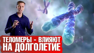 Как удлинить теломеры, жить дольше и остановить старение?🤷‍♀️