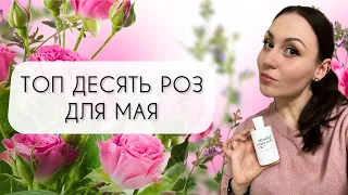 ДЕСЯТЬ РОЗ ДЛЯ МАЯ ЛЮБИМЫЕ АРОМАТЫ С РОЗОЙ