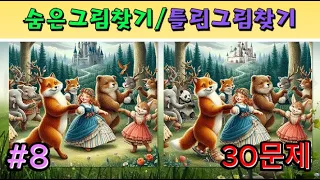 [틀린그림찾기/다른그림찾기] - 30문제 - 당신의 실력은?!숨은그림찾기/Spot the difference / Find the difference/] NO.8