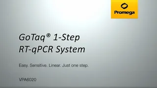 GoTaq® 1-Step RT-qPCR System