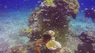 Epic Diving Trip: Bali - GoPro Hero4 - 1080p 60fps