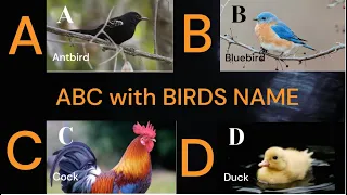 ABC Birds for Children - Learn Alphabet with Bird Names for Toddlers & Kids in English | 01