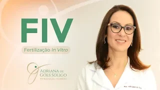 FIV - Fertilização in Vitro