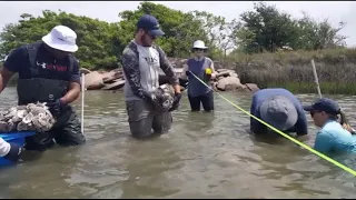 Recycled oyster shells restoring Galveston's natural resources, reefs