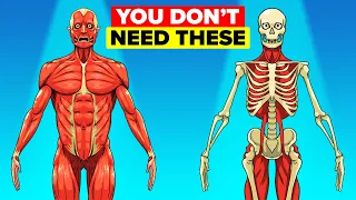 Body Parts Humans Don't Actually Need Anymore