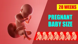 28 Weeks Pregnant Baby Position – Baby Movement and Symptoms