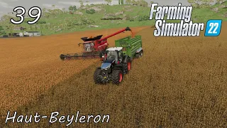 Harvesting Wheat/Sorghum/Fertilising our Grapes!l Timelapse l FS22 Haut Beyleron #39