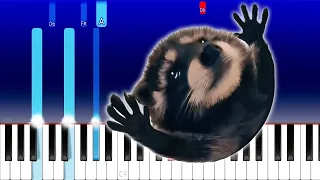 Pedro Pedro Pedro - Raccoon Meme - Full Version (Piano Tutorial)