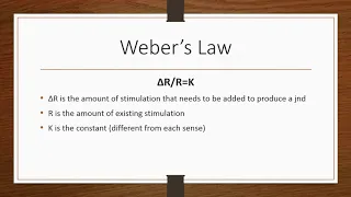Weber’s Law