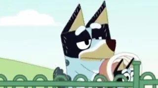 I edited Bluey from the 2016 pilot