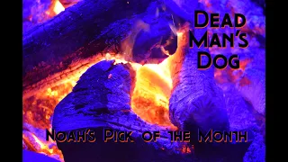 Noah's Pick of the Month - Don't Joke Around - Dead Man's Dog live at Saint Patty's Day Parade 2024