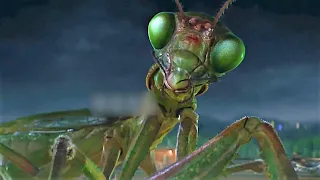 A Giant Praying Mantis Monster Attacked The Humans In A Frenzy.