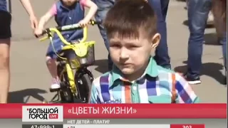 Опрос "Цветы жизни". Большой город. Live. 11/05/2017. GuberniaTV