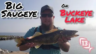 BUCKEYE LAKE BANK FISHING | Ep. 17 || BIG SAUGEYE!!!