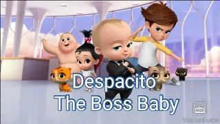 Despacito | Boss Baby | How was the baby born - Cute funny baby | 🔥Aruna Malshan🔥 .