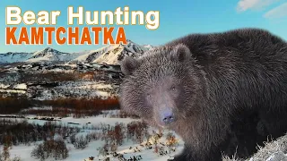 Bear Hunting In Kamtchatka - Russia / 2018 (Chasse Ours Approche)