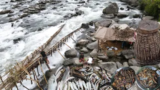 खोलाको किनारमा एक दिन एकरात | माछा खादै रमाइलो | सुराहीमा दिनकै यतिधेरै माछा | Amazing Fishing Nepal