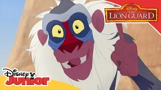 Good King Simba | Music Video | The Lion Guard | Disney Channel Africa