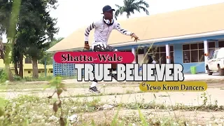 Shatta Wale True Believer Ft Addi Self Natty Lee Dance video by YKD T Lims 2