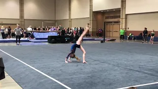 Level 7 Region 8 Hannah Norton Pink Panther Floor Routine score 9.700