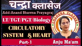 LT/TGT/PGT BIOLOGY || HEART & CIRCULATORY SYSTEM ||  LECTURE -1 ||BY ANJU MAM