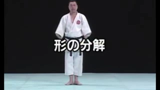 Seipai   Shito Ryu Karate Do Kata & Bunkai