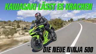 Kawasaki Ninja 500 SE – Grüner Jäger