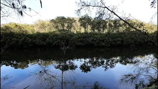 CENTRAL COAST HIKE 7 - MOONEY MOONEY NATURE WALK