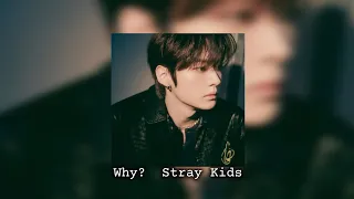 Stray Kids - Why? (Speed Up)