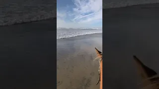 Horse Riding On the Beach