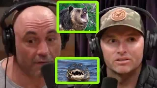 Scarier Animals: US or Australia? - Joe Rogan and Adam Greentree