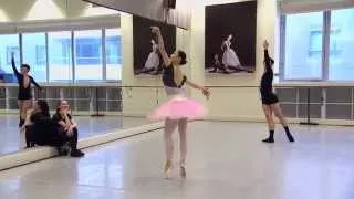 2014 World Ballet Day